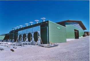 Hangar des séchoirs à air de la scierie Eurochêne