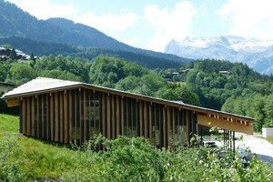 Forêt de planches de chêne