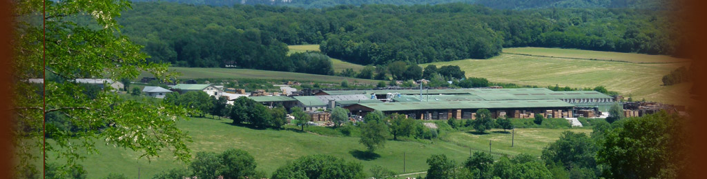 Scierie Eurochêne, Vue du site